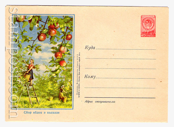 156 USSR Art Covers  1955 05.10 