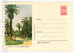 USSR Art Covers 1957 462  1957 25.06 Гагра. Курортный парк