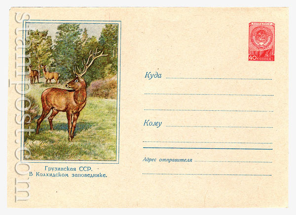 566 USSR Art Covers  1957 18.11 