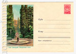 USSR Art Covers 1958 659b  1958 08.03 Сочи. Дендрарий. Кипарисовая аллея. Вых. сведения лиловые