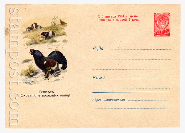 1324 Dx2 USSR Art Covers USSR 1960 21.09 Black Grouse. Protect valuable birds. Sold 