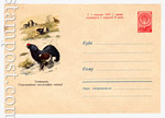 USSR Art Covers 1960 1324 Dx2 USSR 1960 21.09 Black Grouse. Protect valuable birds. Sold 