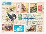 USSR Art Covers 1960 1324 Р2  21.09.1960 Тетерев. Охраняйте полезных птиц!