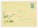 USSR Art Covers/1963 2507  29.04.1963 Белая водяная лилия