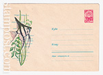USSR Art Covers/1963 2643  06.07.1963 Скалярия - аквариумная рыбка