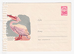 USSR Art Covers/1964 3208-1  04.06.1964 К 100-летию Московского зоопарка. Пеликан