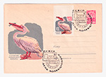 USSR Art Covers/1964 3208-2  04.06.1964 К столетию Московского зоопарка. Пеликан