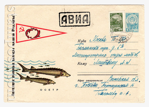 3628 USSR Art Covers USSR 1965 03.03 Protect fish stocks!  Sturgeon. Used