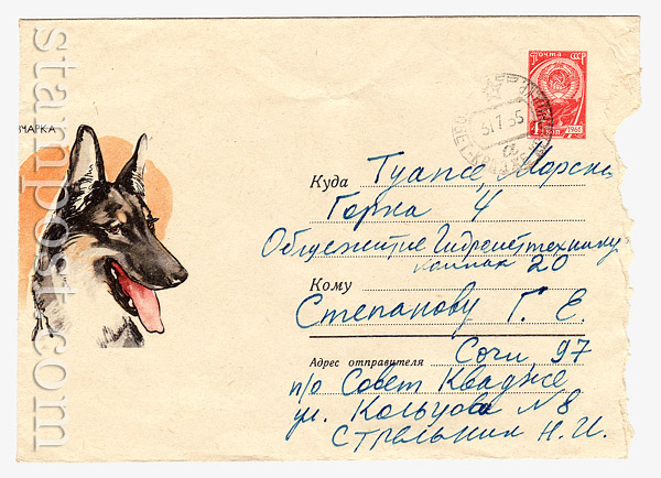 3662 p USSR Art Covers USSR 1965 22.03 Eastern-european  Sheepdog. Used. Sold