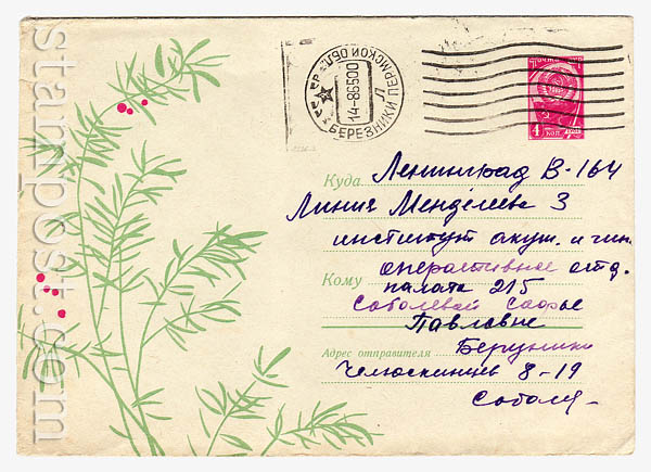 4262 P    1966 27.05  
