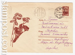   1966 . 4355 P  1966 30.07   