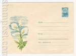 USSR Art Covers 1967 4622 USSR 1967 10.04 Flowers  Cannes. Paper 0-1