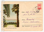   1954 . 47b P Dx2  1954 07.10 (54-44 a ) . .0-2  .
