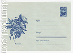 USSR Art Covers 1961 1577b Dx4  1961 02.06 . .  